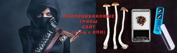 героин Инсар