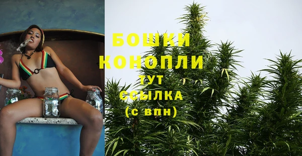 мескалин Инта
