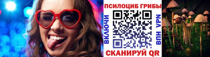 Галлюциногенные грибы Magic Shrooms  Купить где  Каменка 
